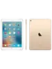 iPad Pro 9.7
